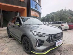 Haval Red Rabbit Engine Edition 1.5T Golden Rabbit - фото 2
