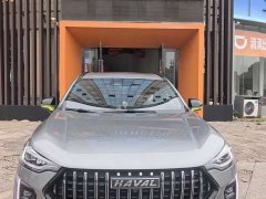 Haval Red Rabbit Engine Edition 1.5T Golden Rabbit - фото 3
