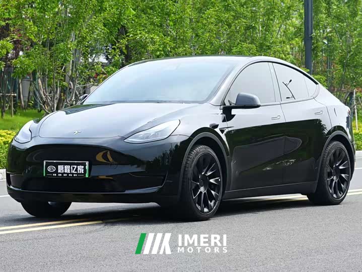Tesla Model Y rear-wheel drive version - автомобиль из Китая