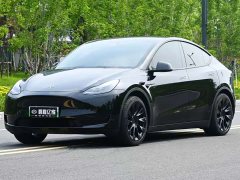 Tesla Model Y rear-wheel drive version - фото 1