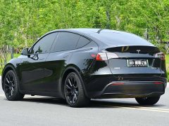 Tesla Model Y rear-wheel drive version - фото 15