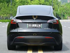 Tesla Model Y rear-wheel drive version - фото 16