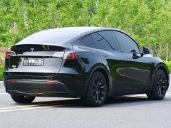 Tesla Model Y rear-wheel drive version - фото 17