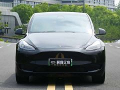 Tesla Model Y rear-wheel drive version - фото 2
