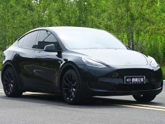 Tesla Model Y rear-wheel drive version - фото 3