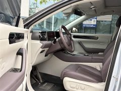 Lynk & Co Leapmoo C11 2023 Extended Range 300 Comfort Edition - фото 6