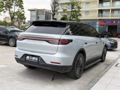 Lynk & Co Leapmoo C11 2023 Extended Range 300 Comfort Edition - фото 9