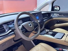 Denza D9 2022 DM-i 970 four-wheel drive premium - фото 11