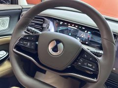 Denza D9 2022 DM-i 970 four-wheel drive premium - фото 14
