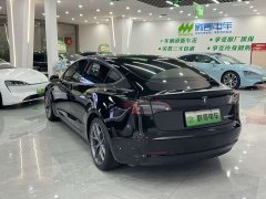 Tesla Model 3 Performance high-performance all-wheel drive version - фото 4