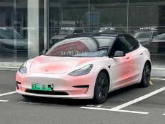 Tesla Model 3 standard range rear drive upgraded version 3D6 - фото 3