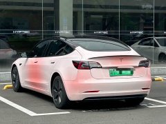 Tesla Model 3 standard range rear drive upgraded version 3D6 - фото 8