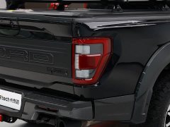 Ford F-150 Raptor 2023 3.5T Raptor - фото 9