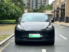 Tesla Model Y standard range rear-wheel drive version - фото 1