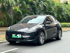 Tesla Model Y standard range rear-wheel drive version - фото 2