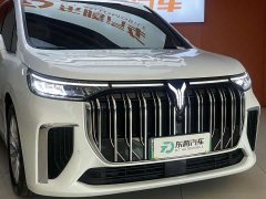 Voyah Lantu Dreamer PHEV Extra Long Range Premium Edition - фото 4