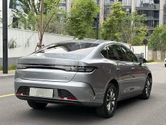 BYD Destroyer 05 2023 Champion Edition DM-i 55KM Luxury Type - фото 16