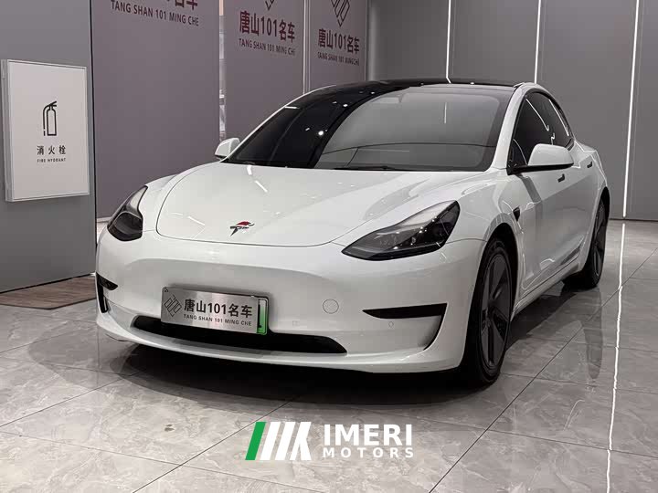 Tesla Model 3 2021 standard range rear drive upgraded version 3D6