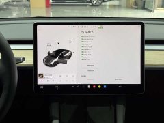 Tesla Model 3 2021 standard range rear drive upgraded version 3D6 - фото 15
