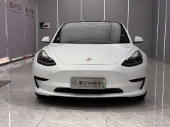 Tesla Model 3 2021 standard range rear drive upgraded version 3D6 - фото 2