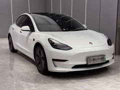 Tesla Model 3 2021 standard range rear drive upgraded version 3D6 - фото 3
