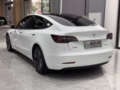 Tesla Model 3 2021 standard range rear drive upgraded version 3D6 - фото 8