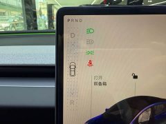 Tesla Model 3 2025 facelift rear-wheel drive version - фото 10