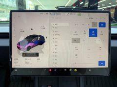 Tesla Model 3 2025 facelift rear-wheel drive version - фото 15