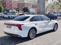 Hongqi H5 2.0T Automatic Zhilianqichang Edition - фото 12