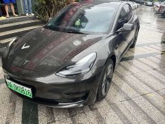 Tesla Model 3 Standard Range Rear Drive Upgraded Version - фото 1