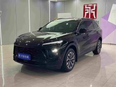 Lexus Envision Plus - фото 1