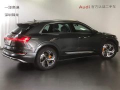 Audi e-tron 2021 50 quattro premium - фото 3