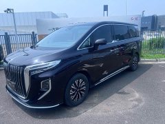 Hongqi HQ9 PHEV 2.0T four-wheel drive luxury version - фото 1