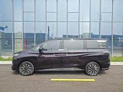 Hongqi HQ9 PHEV 2.0T four-wheel drive luxury version - фото 5