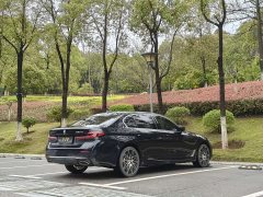 BMW 5 Series 530Li leading M sports package - фото 19