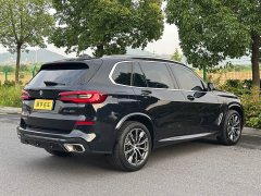 BMW X5 facelift xDrive 30Li exclusive M sports package - фото 19
