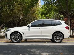 BMW X3 xDrive25i M Sports Package - фото 18