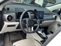 BYD Yuan Pro 2021 401KM Premium Edition - фото 11