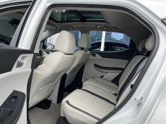 BYD Yuan Pro 2021 401KM Premium Edition - фото 13