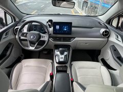 BYD Yuan Pro 2021 401KM Premium Edition - фото 14