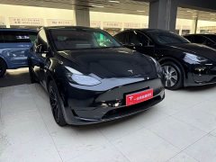 Tesla Model Y 2022 rear-wheel drive version - фото 3