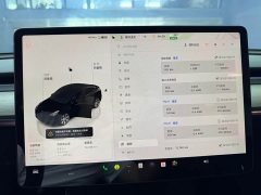 Tesla Model Y 2022 rear-wheel drive version - фото 9