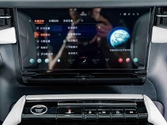 Lexus Navigator 3.5T Extended Presidential Edition - фото 13