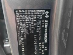 BYD Qin PLUS 2021 DM-i 55KM flagship - фото 10