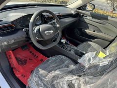 BMW Yixuan GS 2025 Mach Edition 1.5L Automatic Star Edition - фото 10
