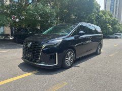 Buick GL8 2022 ES Lu Zun 653T Comfort Type - фото 1