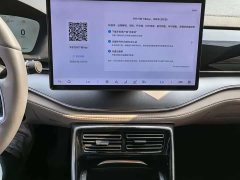 Lexus Tangxin Energy DM-i Honor Edition 200KM flagship - фото 6