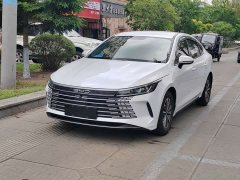 BYD Destroyer 05 DM-i 55KM Smooth Edition - фото 3