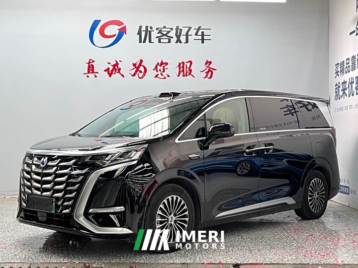 Denza D9 DM-i smart driving version 1020 four-wheel drive premium - автомобиль из Китая