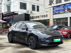 Tesla Model Y 2024 rear-wheel drive version - фото 1